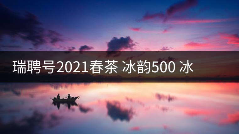 瑞聘號(hào)2021春茶 冰韻500 冰島頭春古樹茶口感好不好？