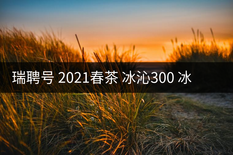 瑞聘號(hào) 2021春茶 冰沁300 冰島頭春古樹(shù)茶好喝嗎？