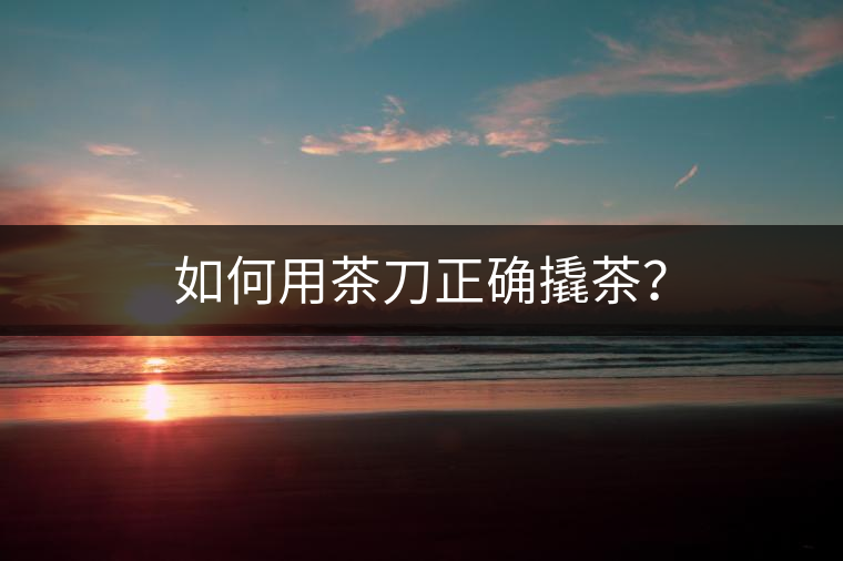 如何用茶刀正確撬茶？