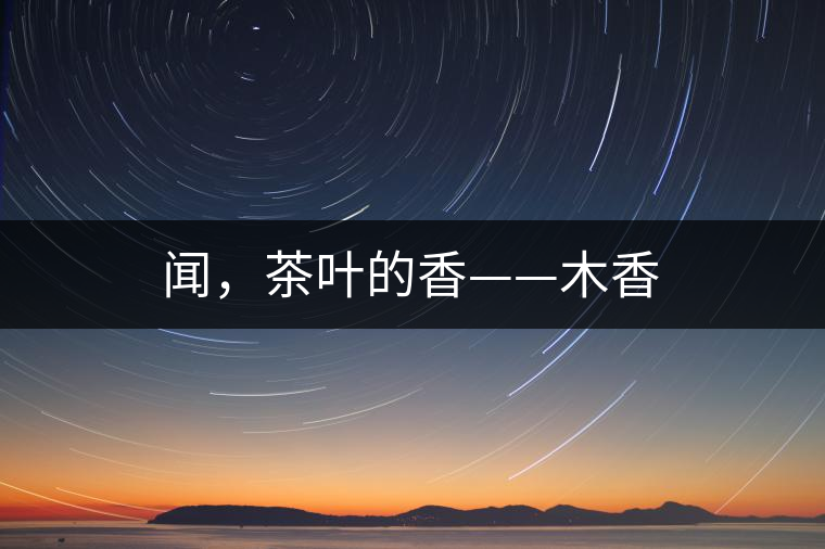 聞，茶葉的香——木香