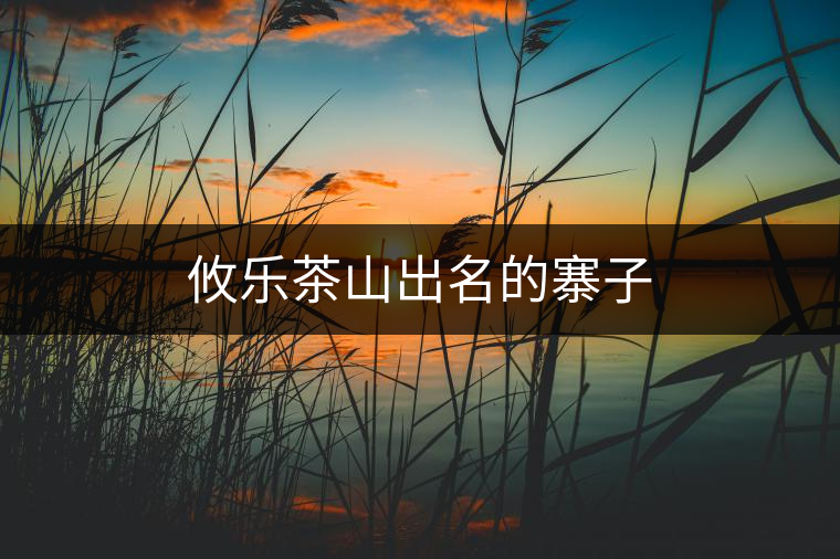 攸樂茶山出名的寨子 攸樂茶山出名的寨子