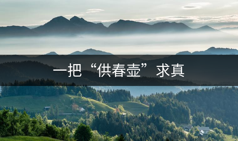 一把“供春壺”求真