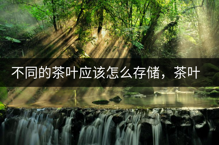 不同的茶葉應(yīng)該怎么存儲，茶葉罐又該如何選擇？