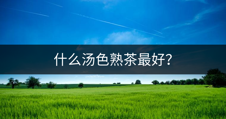 什么湯色熟茶最好？