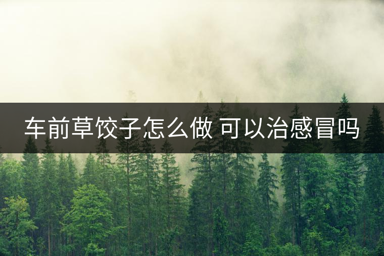 車(chē)前草餃子怎么做 可以治感冒嗎