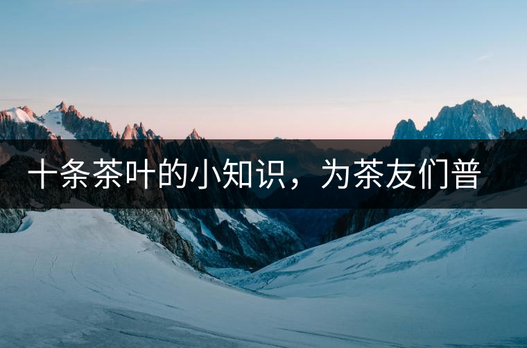 十條茶葉的小知識(shí)，為茶友們普及掃盲