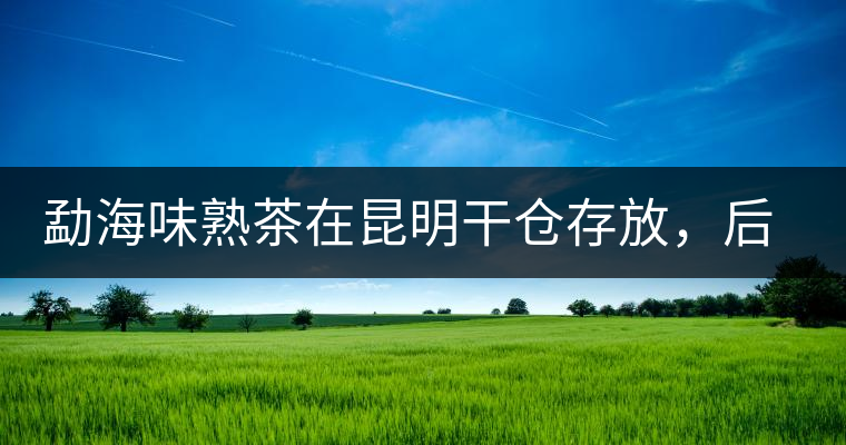 勐海味熟茶在昆明干倉存放，后期轉(zhuǎn)化如何呢？