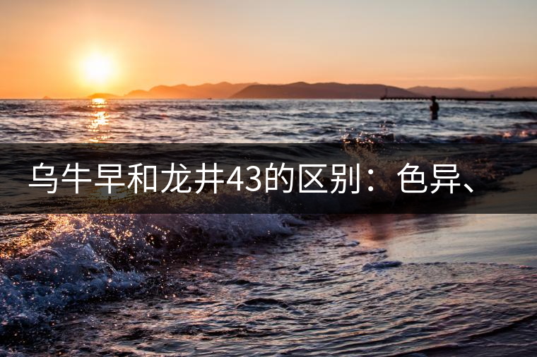 烏牛早和龍井43的區(qū)別：色異、香異、形異