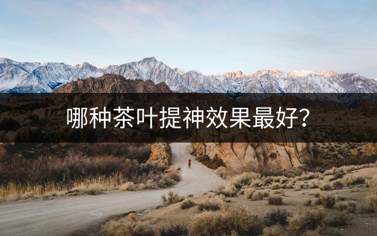哪種茶葉提神效果最好？