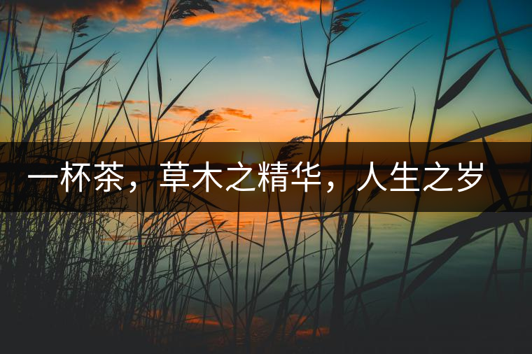 一杯茶，草木之精華，人生之歲月