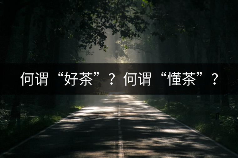何謂“好茶”？何謂“懂茶”？