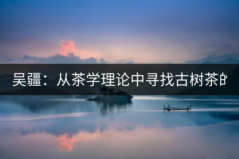 吳疆：從茶學(xué)理論中尋找古樹茶的鑒別方法？（讀書筆記3）