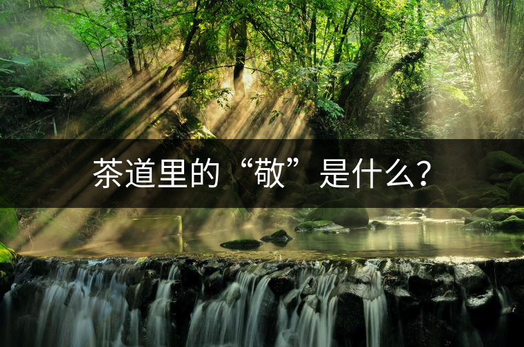 茶道里的“敬”是什么？