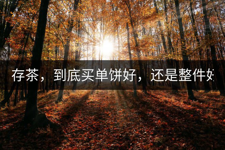 存茶，到底買單餅好，還是整件好？