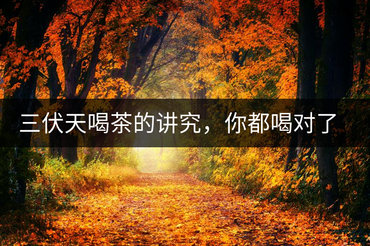 三伏天喝茶的講究，你都喝對(duì)了嗎？