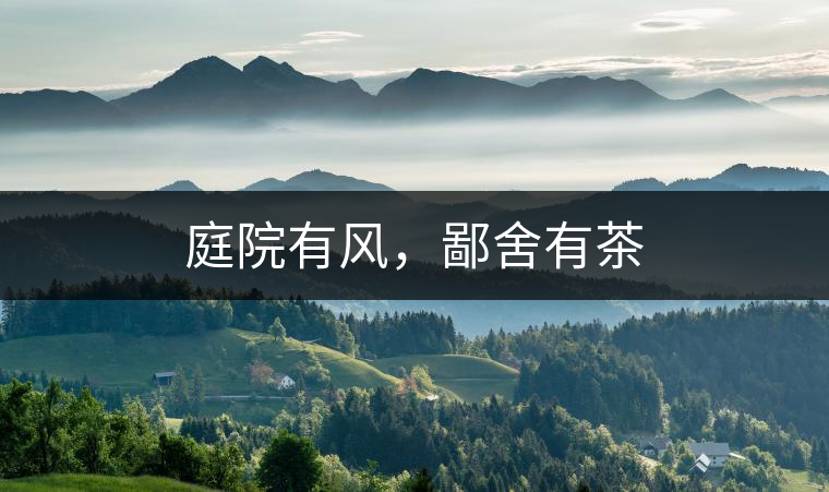 庭院有風，鄙舍有茶