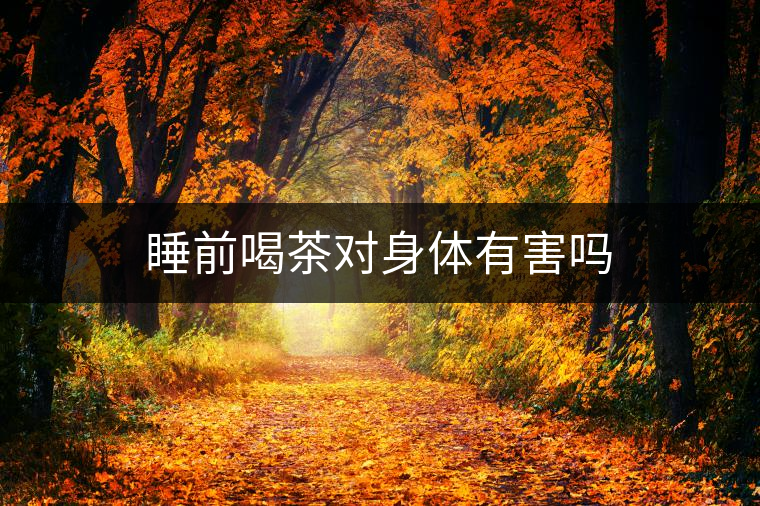 睡前喝茶對(duì)身體有害嗎