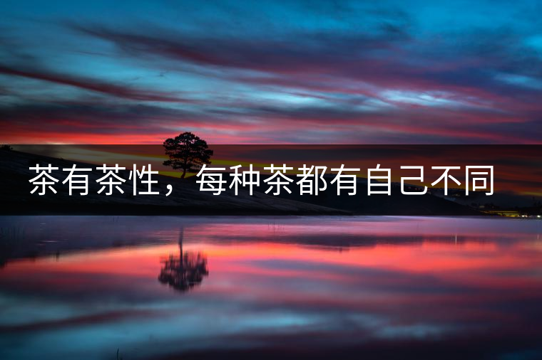 茶有茶性，每種茶都有自己不同的正確泡法