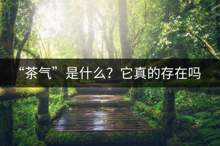 “茶氣”是什么？它真的存在嗎？