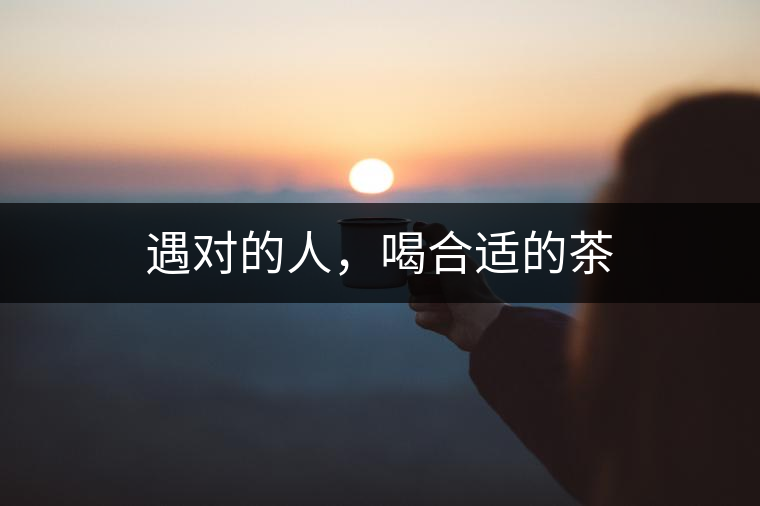 遇對的人，喝合適的茶