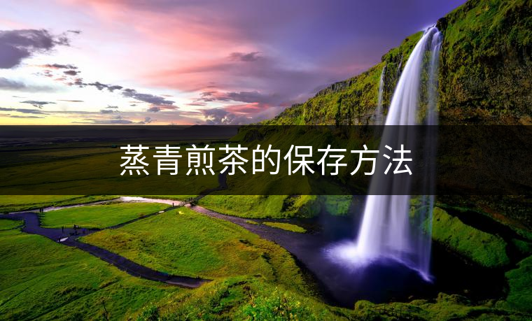 蒸青煎茶的保存方法 蒸青煎茶的保存方法