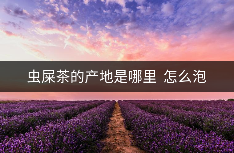 蟲屎茶的產(chǎn)地是哪里  怎么泡