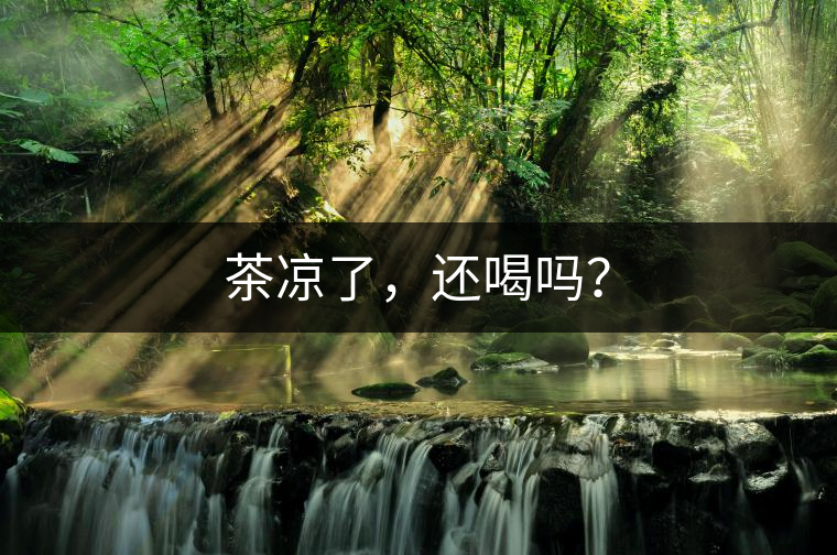茶涼了，還喝嗎？