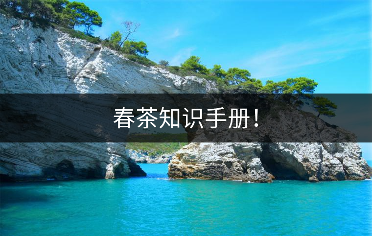 春茶知識手冊！