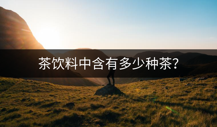 茶飲料中含有多少種茶？