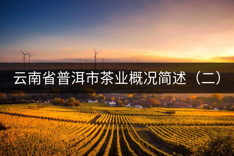云南省普洱市茶業(yè)概況簡(jiǎn)述（二）