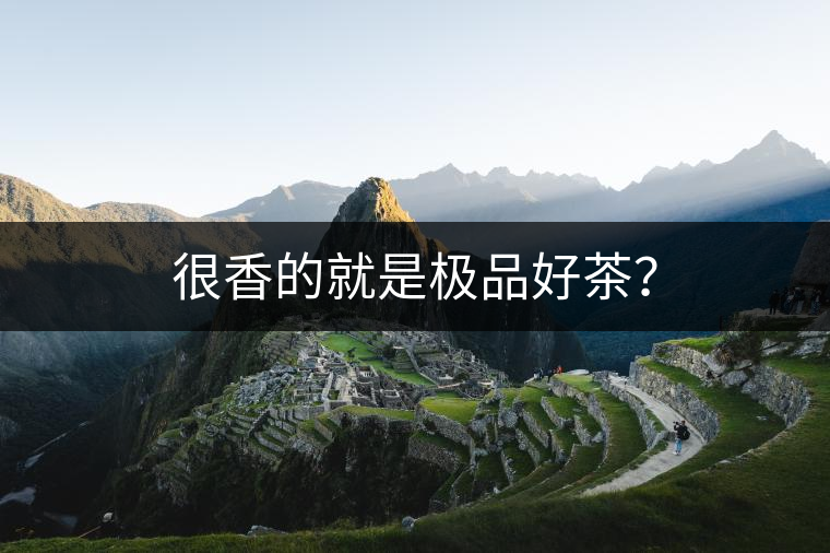很香的就是極品好茶？