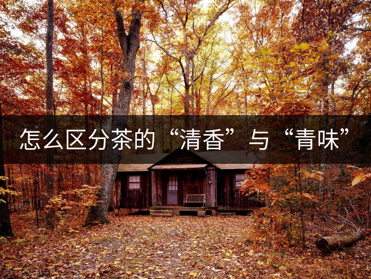 怎么區(qū)分茶的“清香”與“青味”？