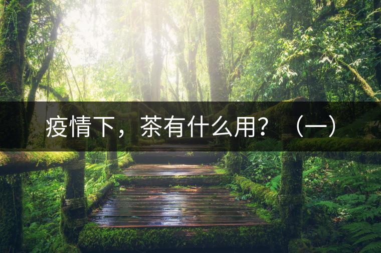 疫情下，茶有什么用？（一）