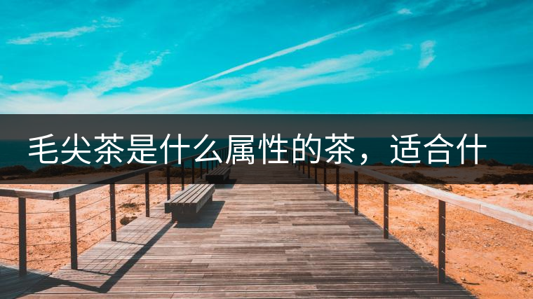 毛尖茶是什么屬性的茶，適合什么群體品飲？