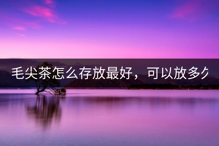 毛尖茶怎么存放最好，可以放多久？