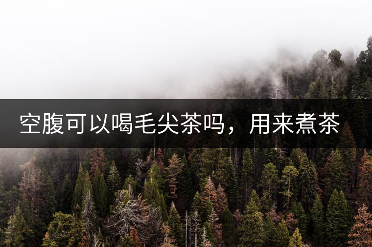 空腹可以喝毛尖茶嗎，用來煮茶葉蛋怎么樣？