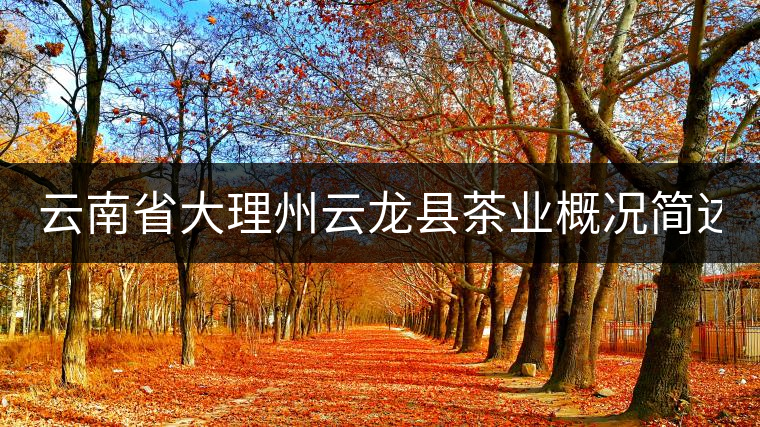 云南省大理州云龍縣茶業(yè)概況簡(jiǎn)述(第三講) 云南省大理州云龍縣茶業(yè)概況簡(jiǎn)述(第三講)