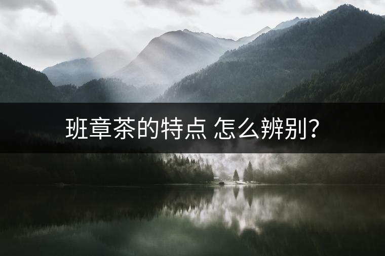 班章茶的特點 怎么辨別？