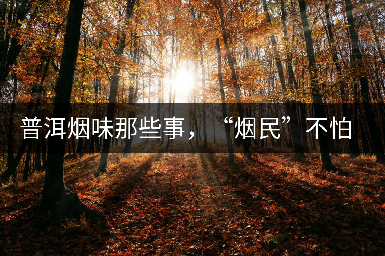 普洱煙味那些事，“煙民”不怕當(dāng)