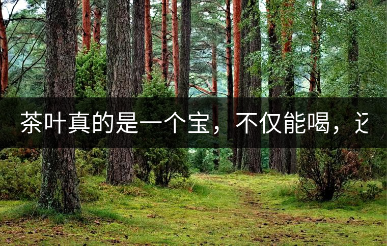 茶葉真的是一個寶，不僅能喝，還能用！