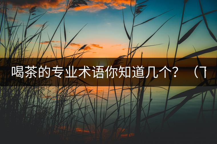 喝茶的專業(yè)術(shù)語你知道幾個？（下篇）