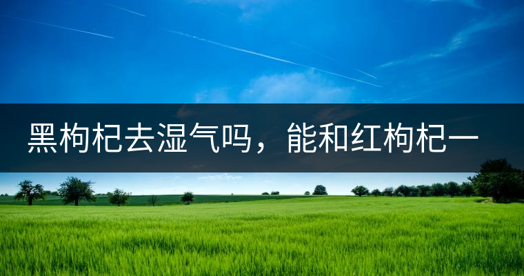 黑枸杞去濕氣嗎，能和紅枸杞一起泡嗎？