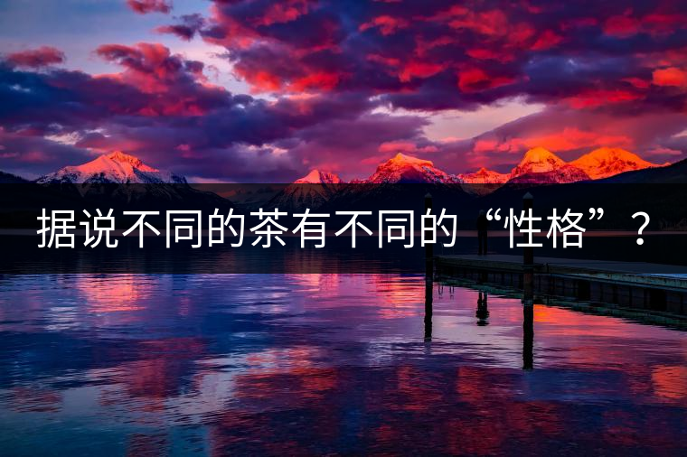 據說不同的茶有不同的“性格”？