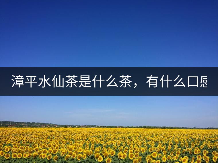漳平水仙茶是什么茶，有什么口感特點(diǎn)！