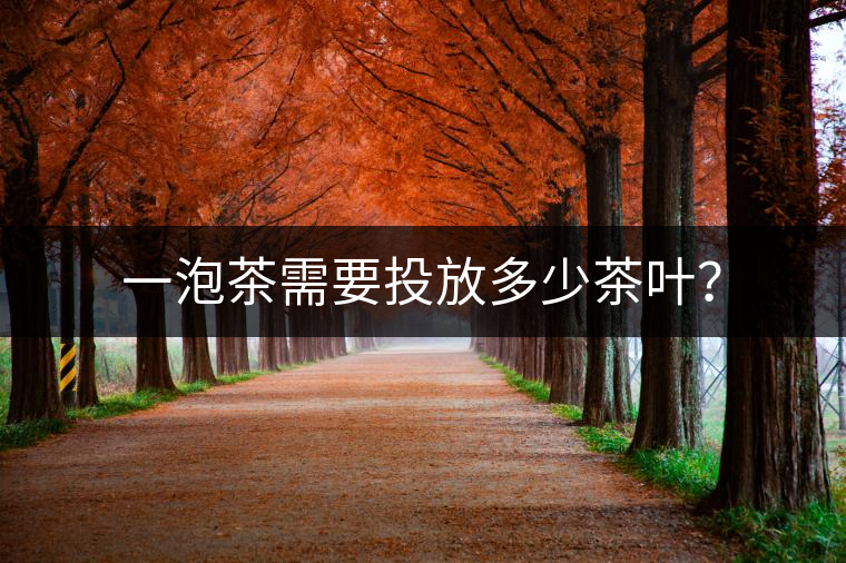 一泡茶需要投放多少茶葉？