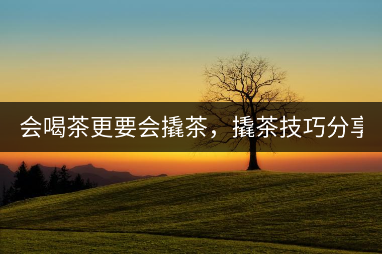 會(huì)喝茶更要會(huì)撬茶，撬茶技巧分享！