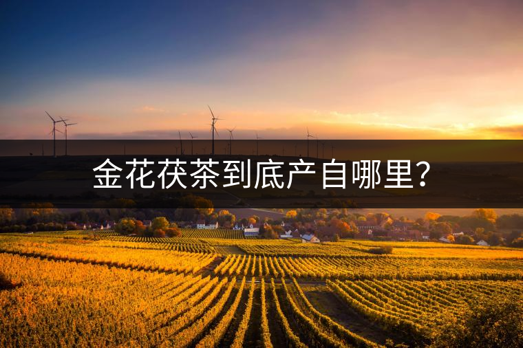 金花茯茶到底產(chǎn)自哪里？