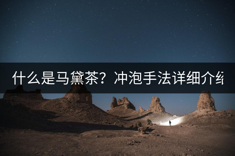 什么是馬黛茶？沖泡手法詳細(xì)介紹！