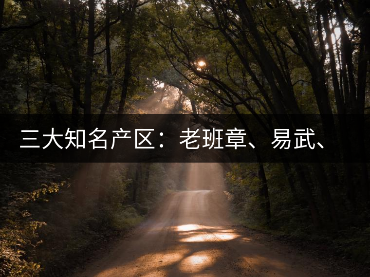 三大知名產(chǎn)區(qū)：老班章、易武、景邁三大茶系都有哪些特點(diǎn)！