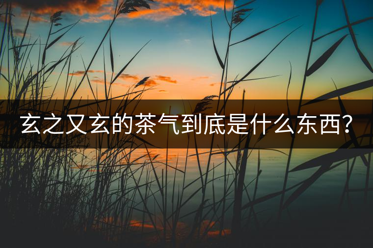 玄之又玄的茶氣到底是什么東西？